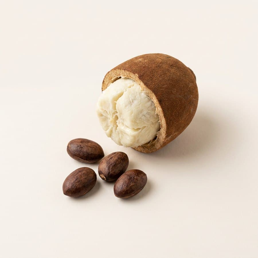 Cupuaçu Butter