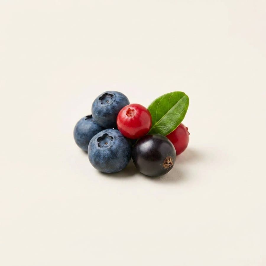 Nordic Berry Complex